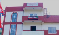 हलगोरु पाल्ने किसानलाई १० हजार रुपैयाँ अनुदान