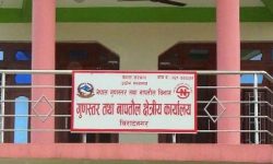 ६ सय ४० नयाँ व्यवसायिक प्रतिष्ठानलाई नापतौल इजाजतपत्र