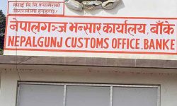 नेपालगन्ज भन्सारमा राजस्व असुलीमा कमी