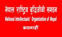 बुद्धिजीवी संगठनको ५०१ सदस्यीय निर्वाचन परिचालन समिति