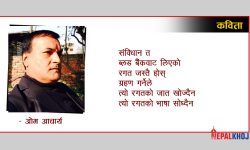 संविधान ब्लड बैंकको रगत जस्तो होस् !