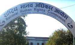 डेंगु नियन्त्रणमा प्रभावकारी कदम चाल्न आयोगको आग्रह