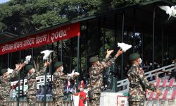 टुँडिखेलमा यसरी मनाइयो आठौँ संविधान दिवस(तस्बिरसहित)