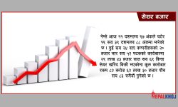 दाेहोरो अंकले घट्यो नेप्से, कारोबार ८२ करोडमा खुम्चियो !