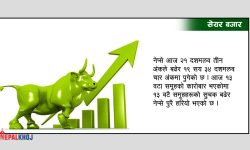 नेप्सेमा पूरै हरियाली : २१ अंकले बढ्दा ९२ करोड २५ लाखको सेयर किनबेच