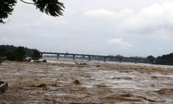 नारायणीमा पानीको बहाव यस वर्षकै उच्च, सुरक्षा निकायलाई अलर्ट रहन निर्देशन