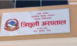 दसैँ बिदामा सात सयको आकस्मिक उपचार