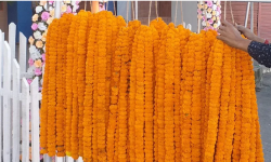 तिहारमा साढे १३ करोडको पुष्पमाला कारोबार