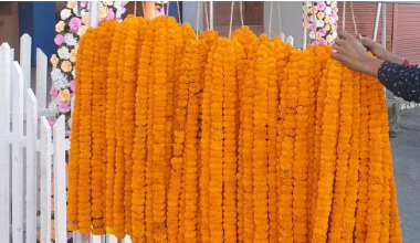 तिहारमा साढे १३ करोडको पुष्पमाला कारोबार
