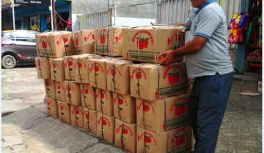 कोसेलीमा ब्राण्ड बनेको मुस्ताङको स्याउ !