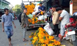 फूल बिक्री !