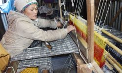 अल्लोको कपडा बुन्दै उद्यमी !