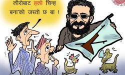 घाेचपेच !