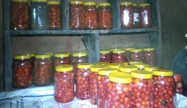 अकबरे खुर्सानीको अचार बेचेर लाखौँ आम्दानी