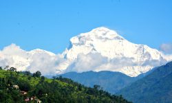 खुल्यो हिमाल !