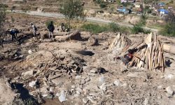 दाउराको जोहो !