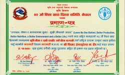 शिखर इन्स्योरेन्सलाई नेपाल सरकारबाट उत्कृष्ट बिमा कम्पनीको पुरस्कार