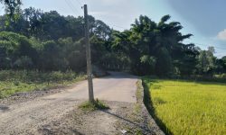 भाइरल रोड बीचैमै विद्युतको पोल !