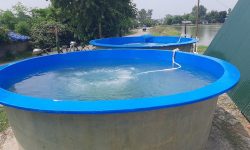 माछा राख्ने फाइबर ट्यांक !