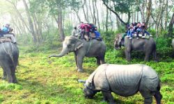 बडादसैँसँगै बढ्यो पर्यटकीय क्षेत्रमा चहलपहल