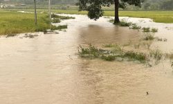 मलेसिया बाढी : ५६ हजार बढी विस्थापित