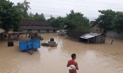 कैलालीका बाढी पीडितको बिचल्ली