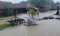 बाँकेमा तटीय बस्तीका ३ सय परिवार डुबानमा