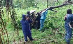 अविरल वर्षाका कारण धेरै स्थानकाे विद्युतीय संरचनामा क्षति