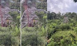 पहिरोले ढाल्यो लमही–घोराही प्रसारण लाइनको टावर