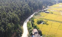 १७ वर्षमा पनि बनेन ‘वीरेन्द्रनगर चक्रपथ’