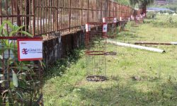 ग्लोबल आइएमई बैंक र त्रिविकाे सहकार्यमा आयुर्वेद परिसरमा वृक्षारोपण