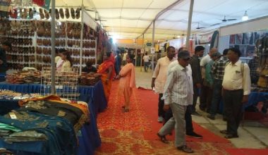 जनकपुरधाम महाेत्सवमा सर्वसाधारणको घुइँचो