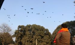 रत्नापार्कमा १९औँ ‘काग सम्मेलन’ हुने