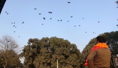 रत्नापार्कमा १९औँ ‘काग सम्मेलन’ हुने