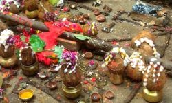 मिथिलामा ‘गोधन’ पर्व मनाइँदै