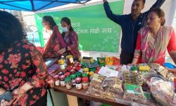 दिगो विकास महिला उद्यमशीलतालाई नबिल बैंकको साथ