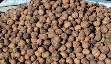 तिहार नजिकिएसँगै ओखरको आयात बढ्दै