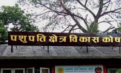 गृहमन्त्री अर्यालले छालाको जुत्ता लगाएर पशुपतिनाथ मन्दिरभित्र प्रवेश गरेको होइन: पशुपति क्षेत्र विकास कोष