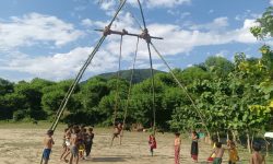 पिङको आकर्षण घट्यो