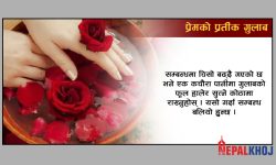 सम्बन्धको चिसाेपन अन्त्य गर्ने फूल !