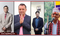 चुनाव जित्नेहरु-३