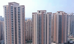 संसारको आधा घरेलु सम्पतिको मालिक दुई देश