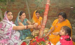 मिथिलामा अक्षय नवमी पर्व मनाइँदै