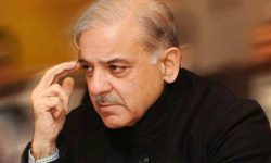 आतंकवाद पाकिस्तानको सबैभन्दा जटिल समस्या : शहबाज शरीफ