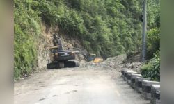 पृथ्वीराजमार्ग विस्तार : ४६६ रुख काटिने