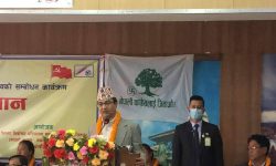 उम्मेदवार उदय शमशेर राणा !