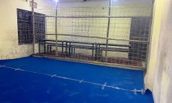 पाँचथरमा मध्याह्नबाट मतगणना आरम्भ गरिने