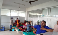 महोत्तरीमा डेंगुले अस्पताल भरियाे