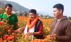 उम्मेद्वारसँग उद्यमी बन्ने योजना माग्दै पाल्पाका किसान