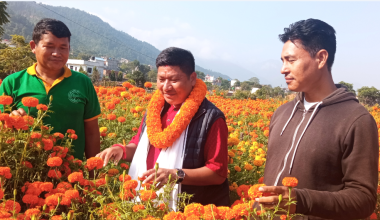 उम्मेद्वारसँग उद्यमी बन्ने योजना माग्दै पाल्पाका किसान